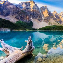 Landscapes